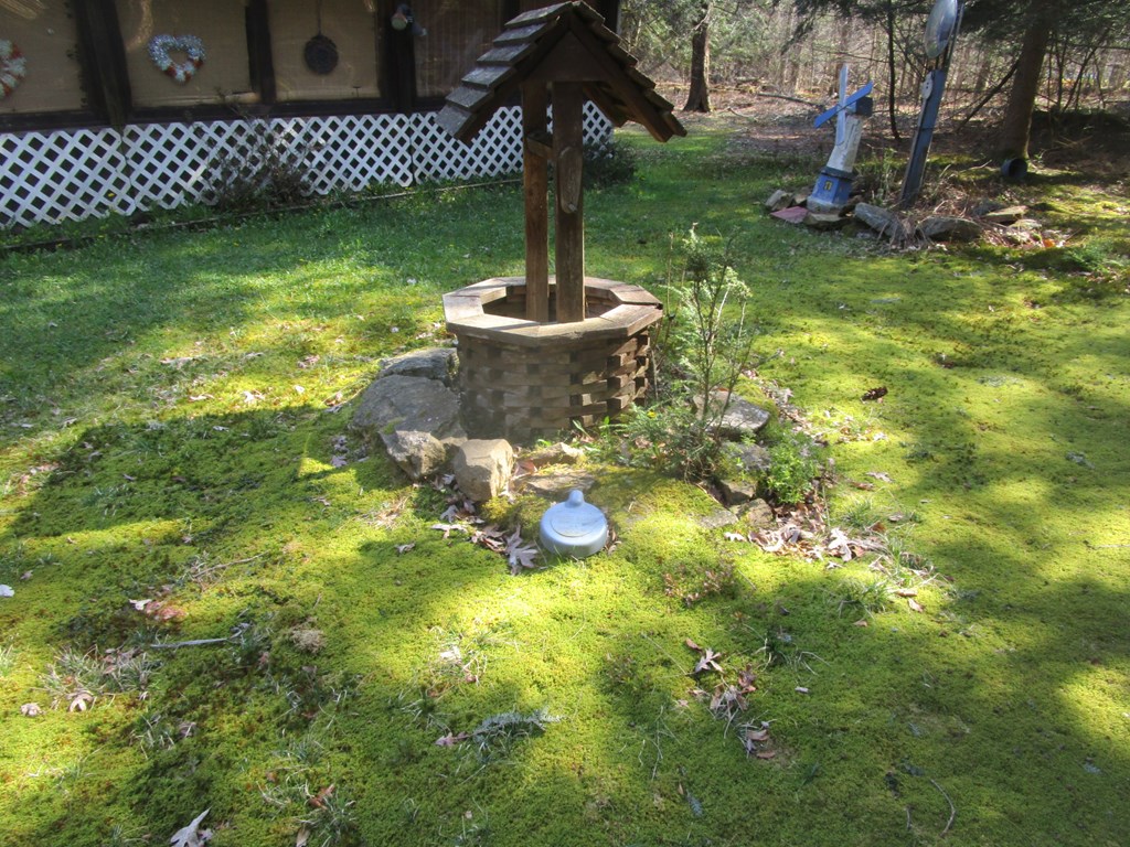 180 Pinetree Road Vowinckel, PA 16260 - Photo 3 of 17 a view of a garden with a tree