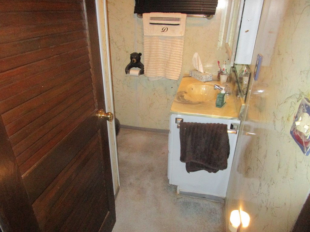180 Pinetree Road Vowinckel, PA 16260 - Photo 8 of 17 a bathroom with a sink and mirror