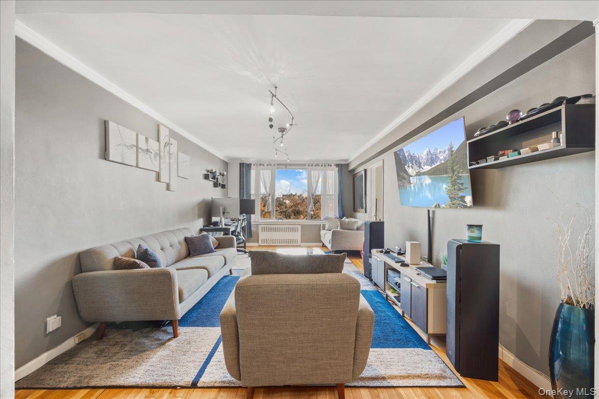 4315 Webster Avenue, Unit 5E Bronx, NY 10470 - Photo 4 of 21 a living room with furniture a rug and a chandelier