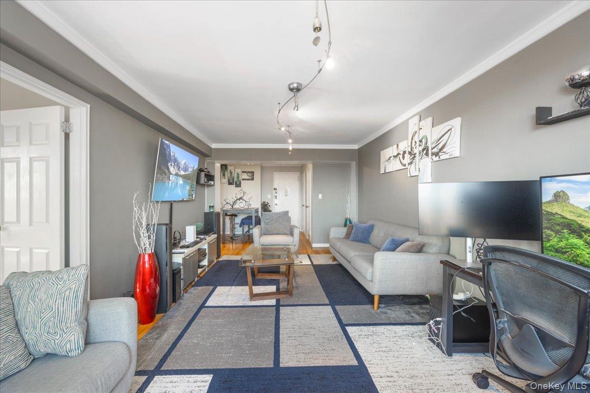 4315 Webster Avenue, Unit 5E Bronx, NY 10470 - Photo 10 of 21 a living room with furniture and a flat screen tv