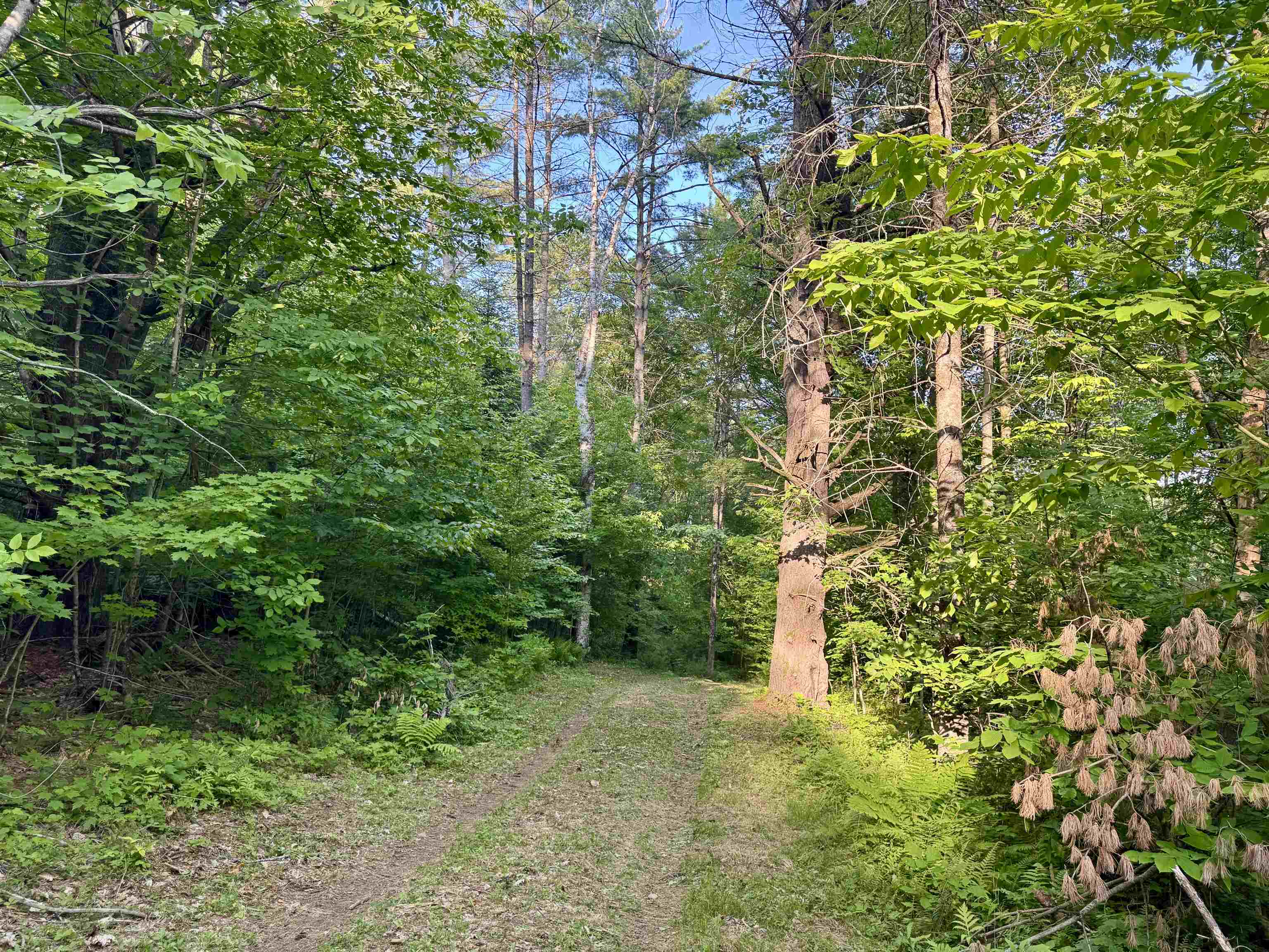 0 Old Post Road Bradford, VT 05033 - Photo 6 of 16