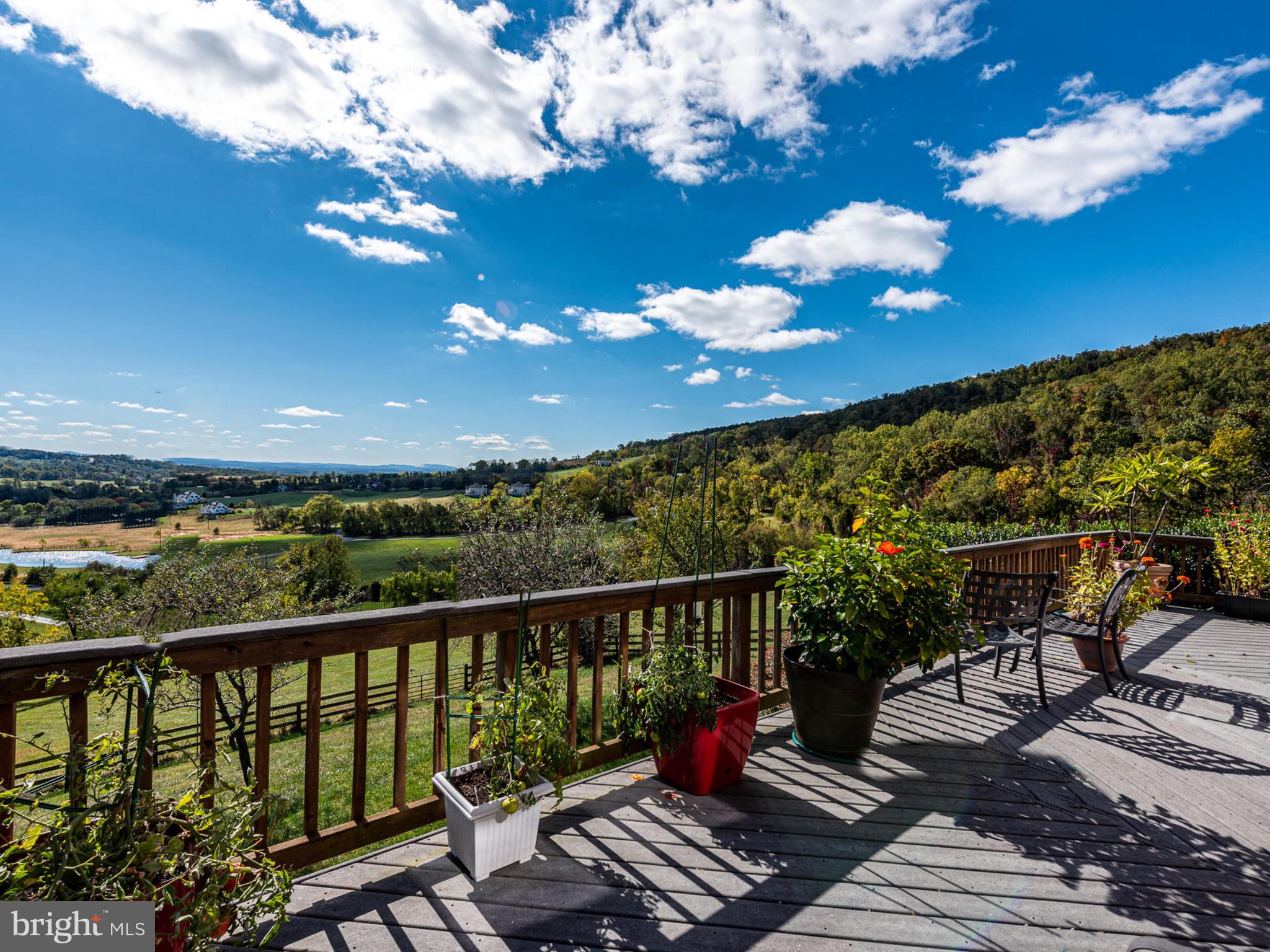 17022 Simmental Lane Round Hill, VA 20141 - Photo 1 of 48