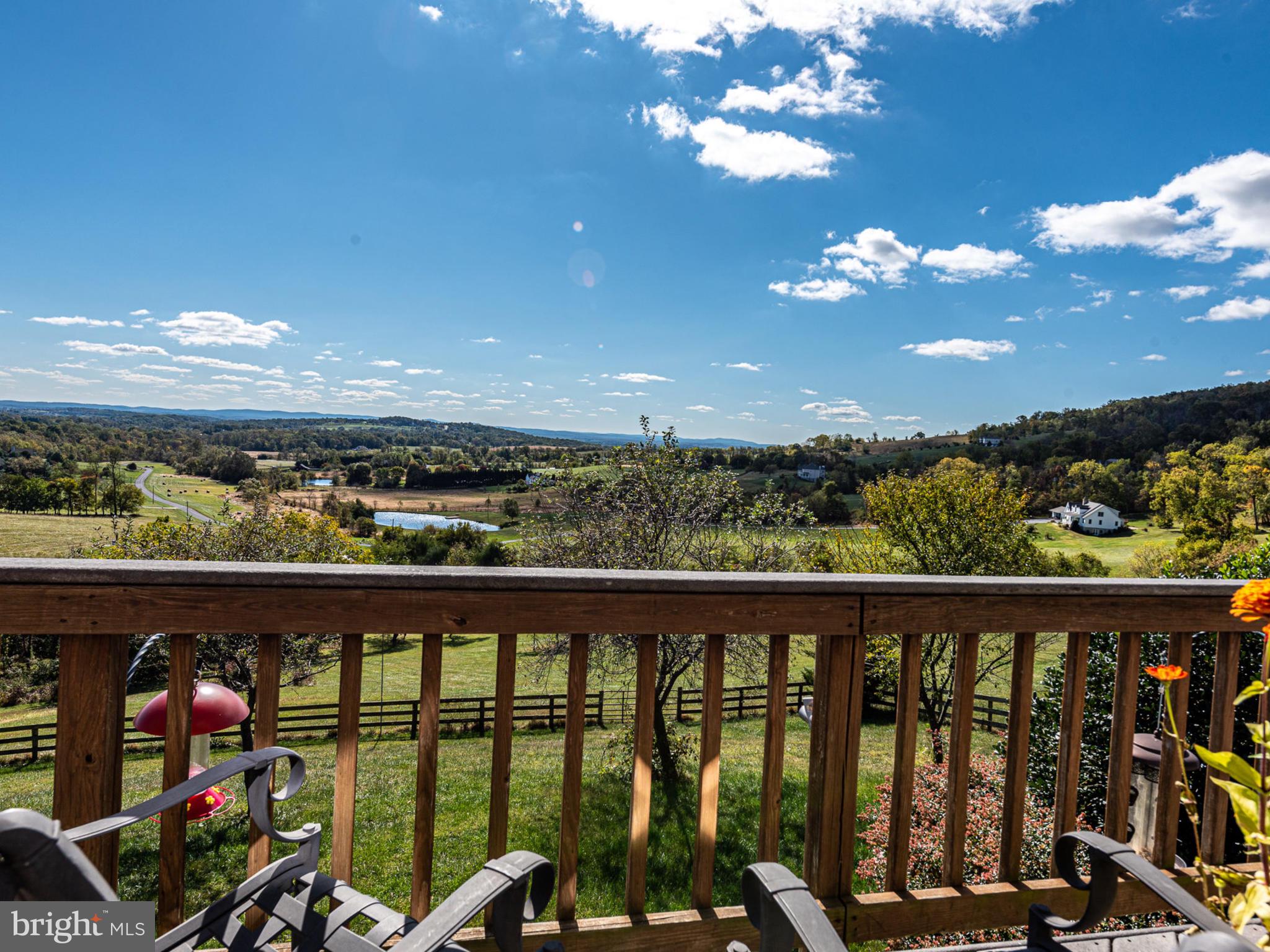 17022 Simmental Lane Round Hill, VA 20141 - Photo 33 of 48