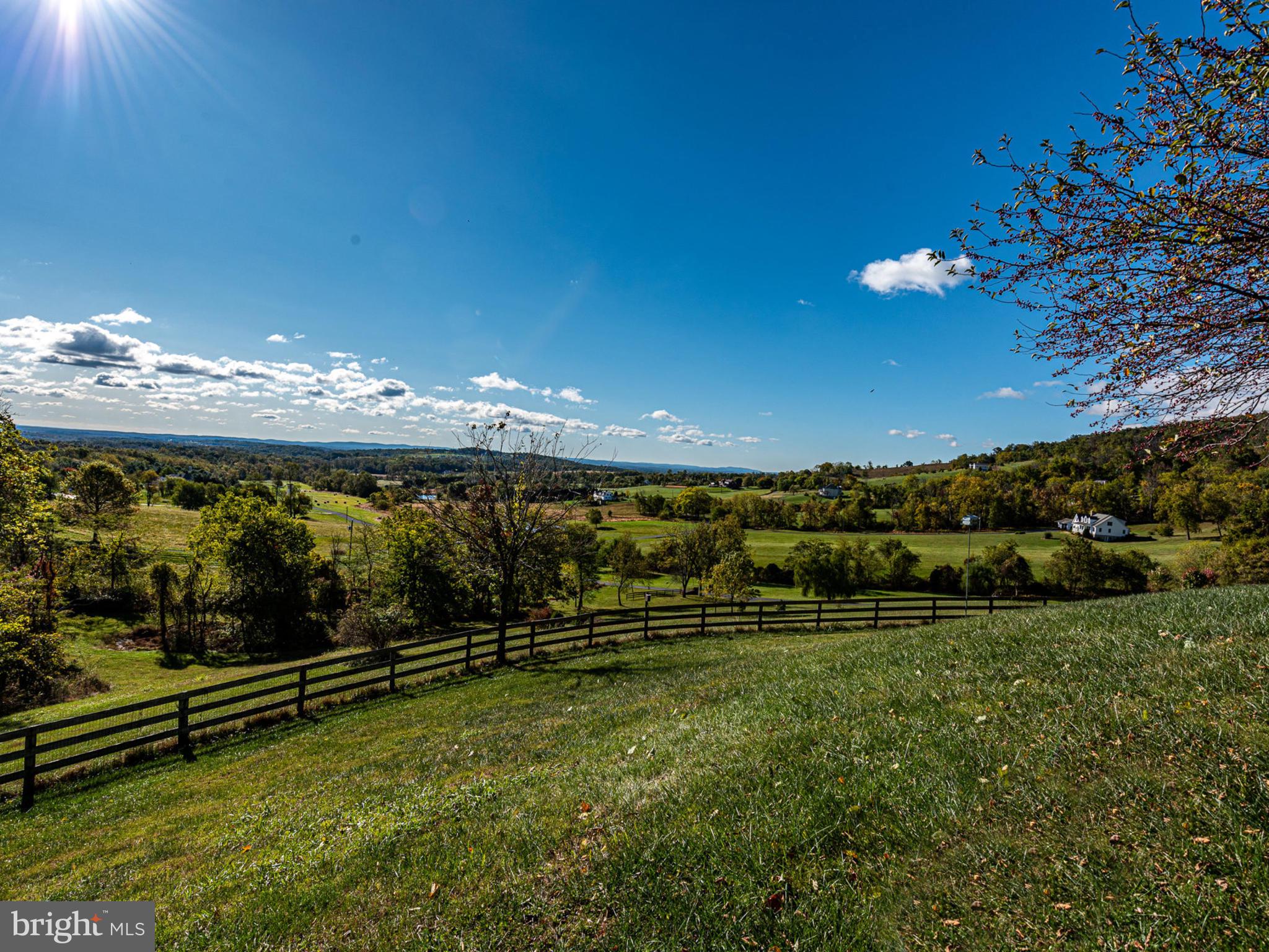17022 Simmental Lane Round Hill, VA 20141 - Photo 41 of 48