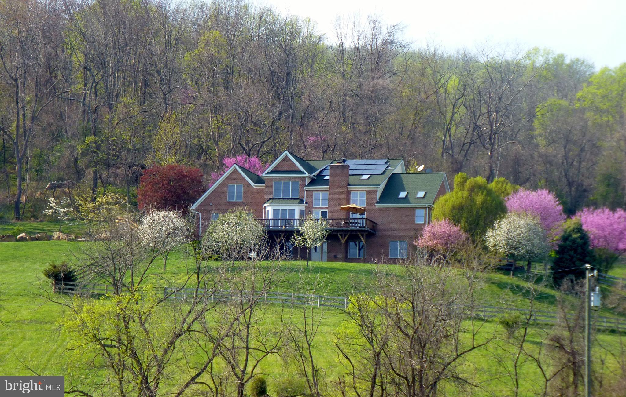 17022 Simmental Lane Round Hill, VA 20141 - Photo 46 of 48