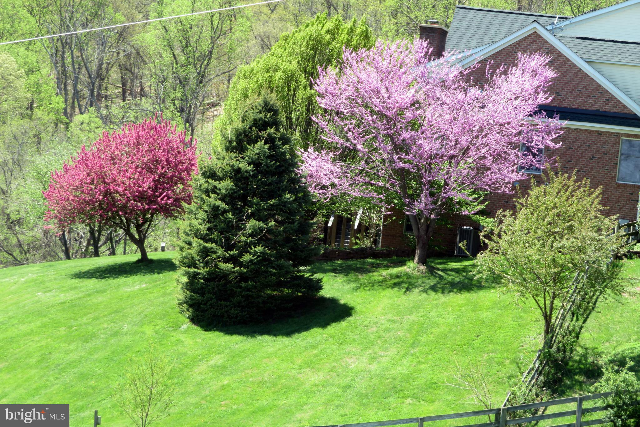 17022 Simmental Lane Round Hill, VA 20141 - Photo 47 of 48