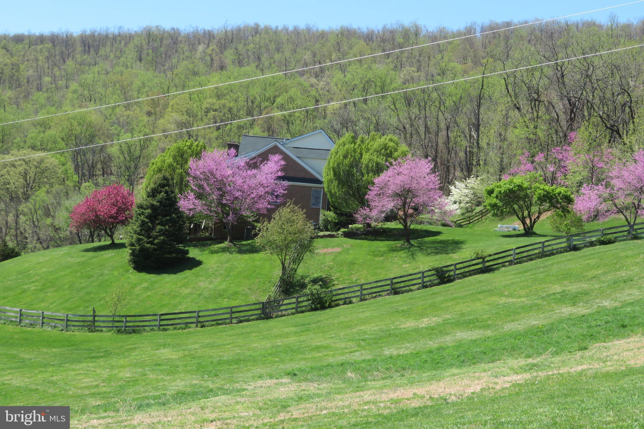17022 Simmental Lane Round Hill, VA 20141 - Photo 48 of 48