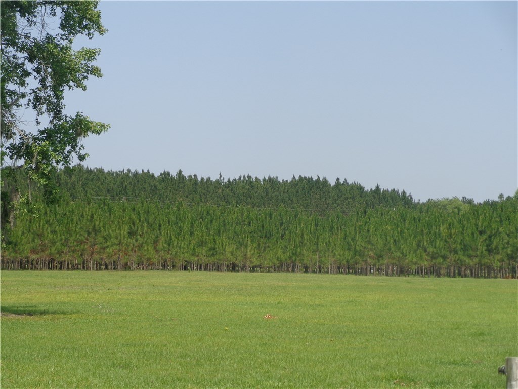 56002 Griffin Road Callahan, FL 32011 - Photo 3 of 10 a view of a field with trees in background