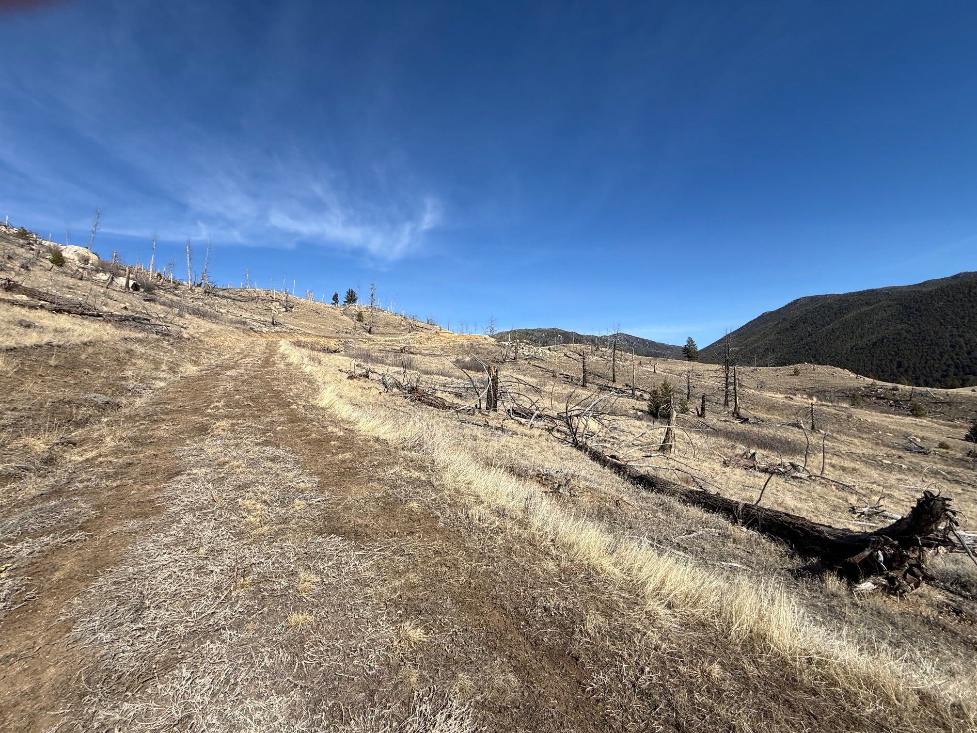 83 Nursery Creek Road Boulder, MT 59632 - Photo 21 of 62 Gallery Image 21