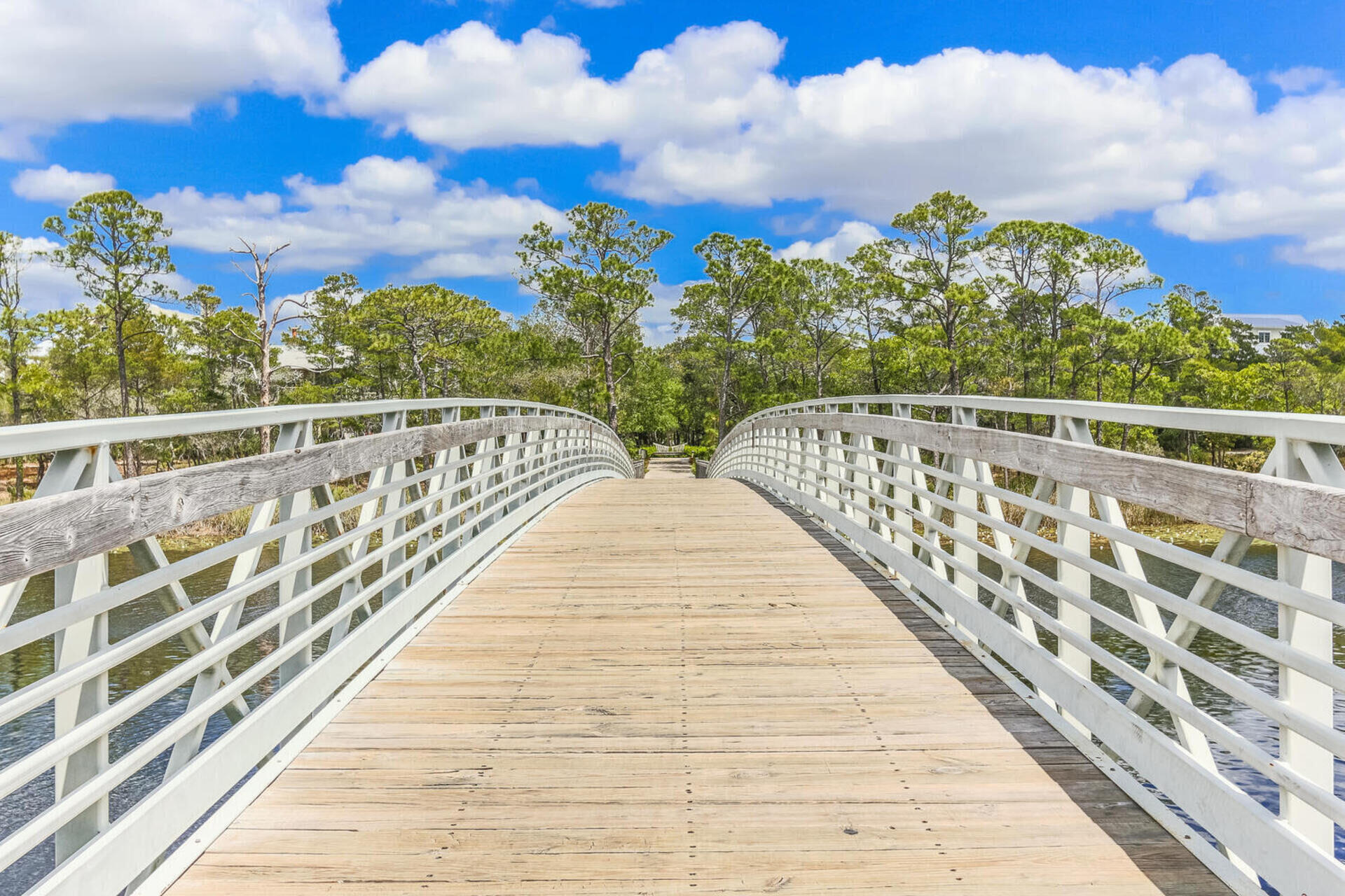 147 Silver Laurel Way Santa Rosa Beach, FL 32459 - Photo 43 of 56 Beautiful Bridges