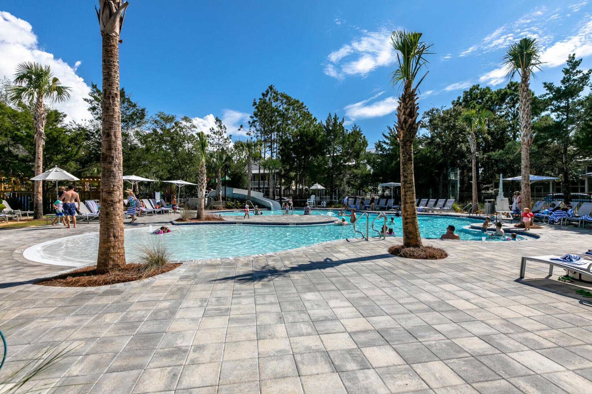 147 Silver Laurel Way Santa Rosa Beach, FL 32459 - Photo 50 of 56 Pools