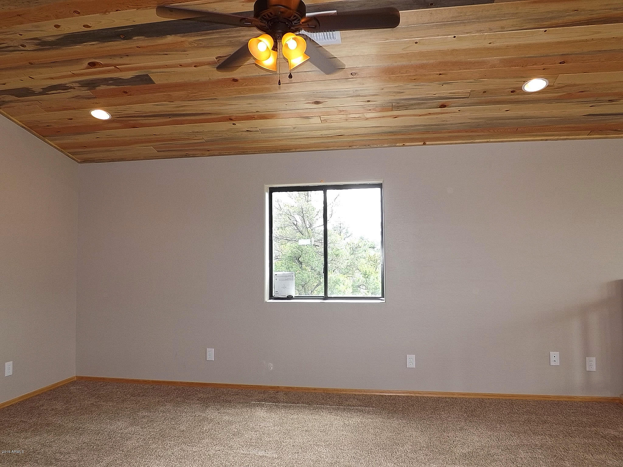 3323 Saw Mill Ridge Loop Heber, AZ 85928 - Photo 30 of 45 DSCF7176