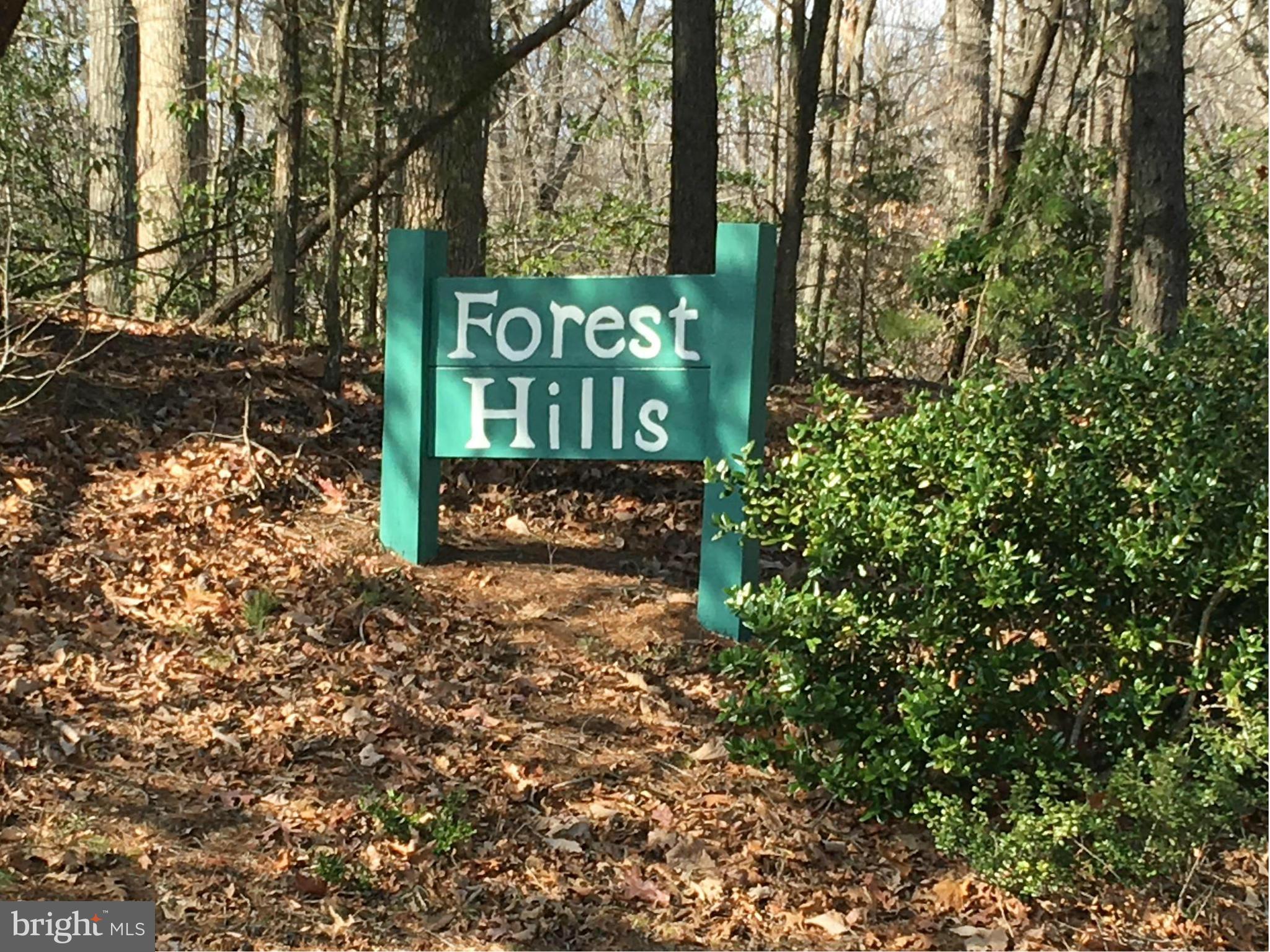Forest Hills subdivision