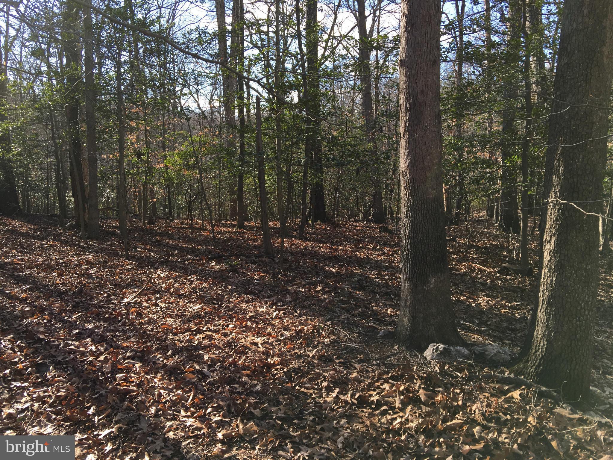 Imagine your dream home: HERE!