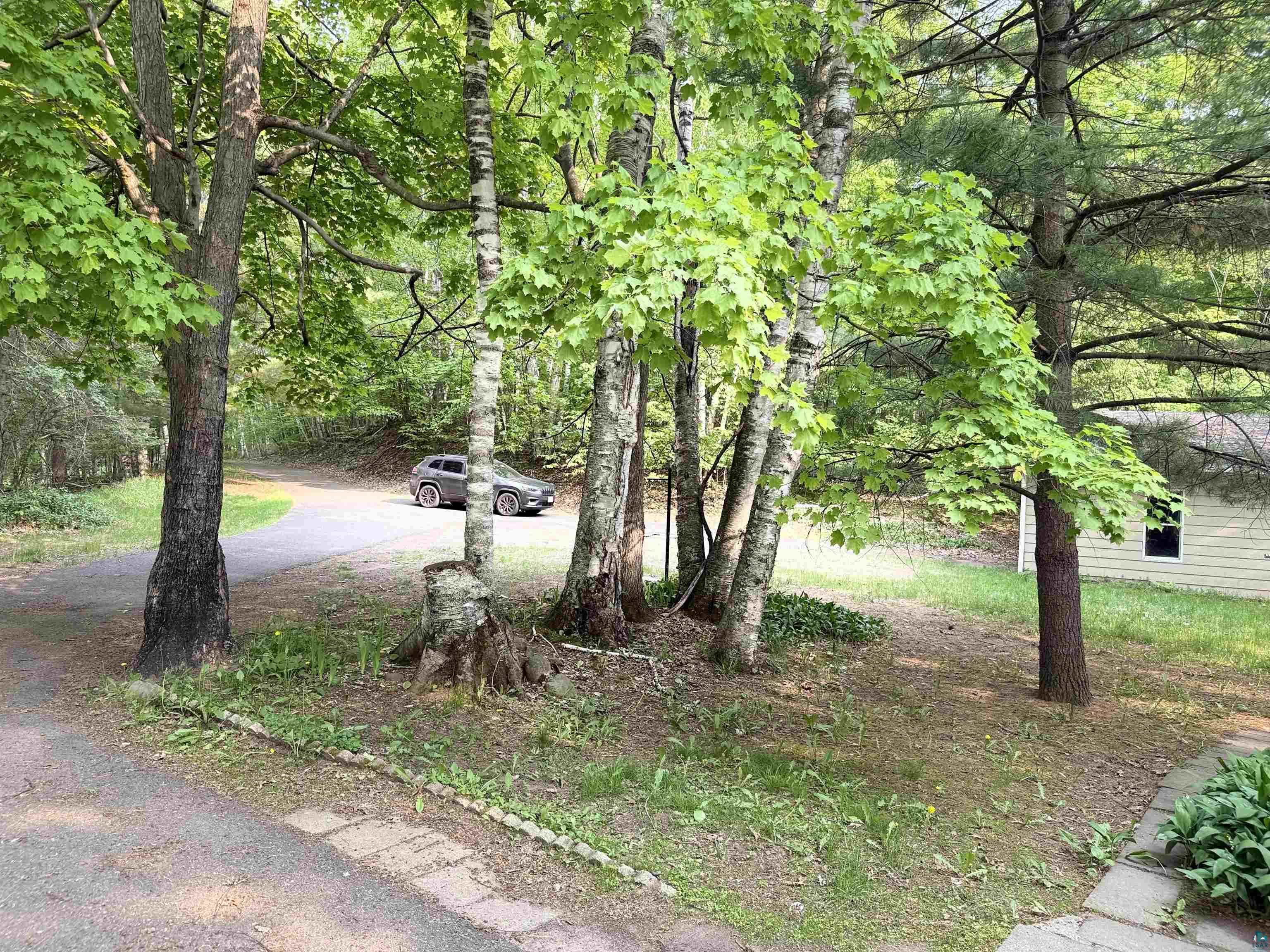 69175 East Long Lake Road Iron River, WI 54847 - Photo 41 of 47 View of yard