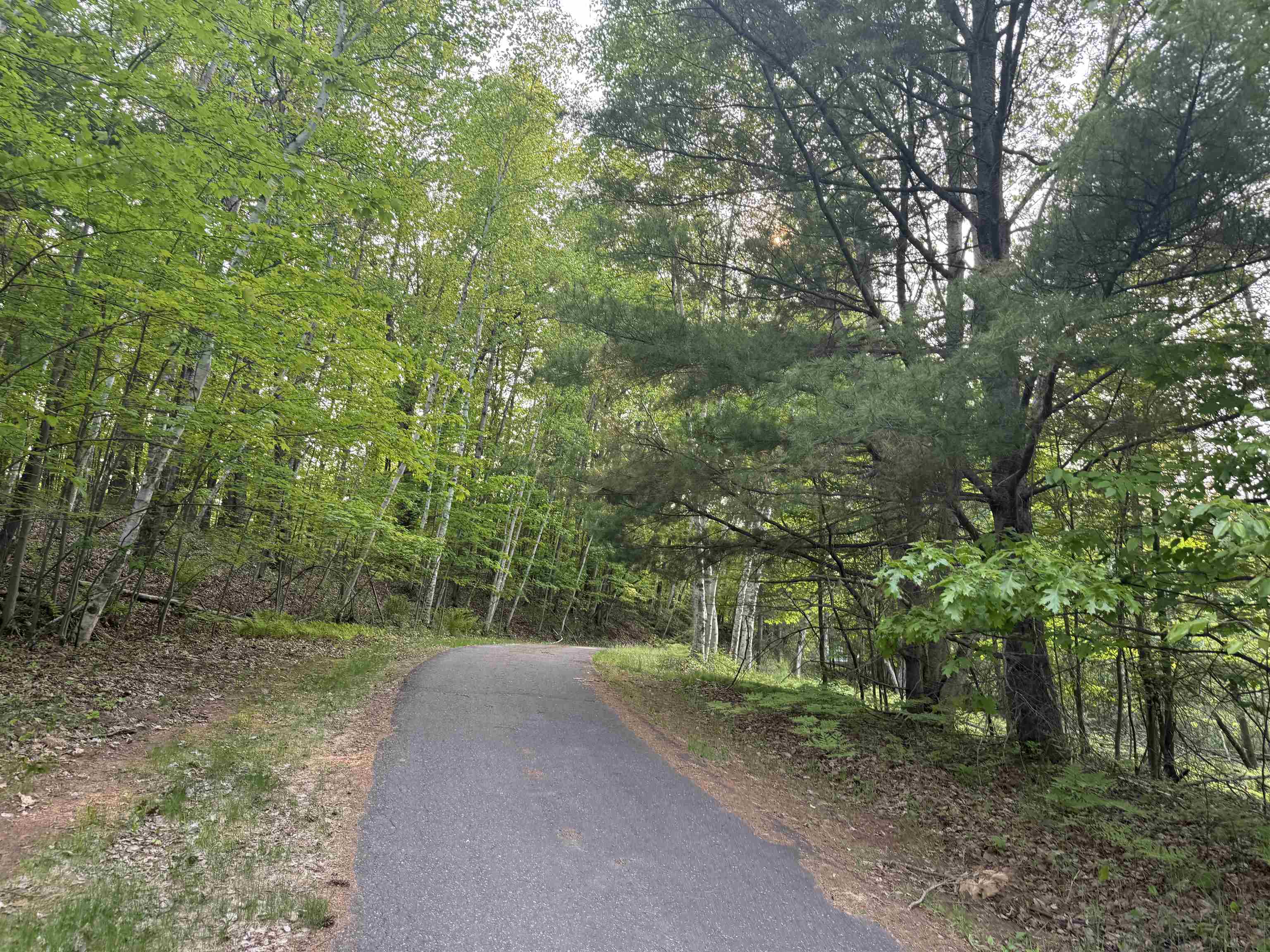 69175 East Long Lake Road Iron River, WI 54847 - Photo 45 of 47 View of street with a view of trees