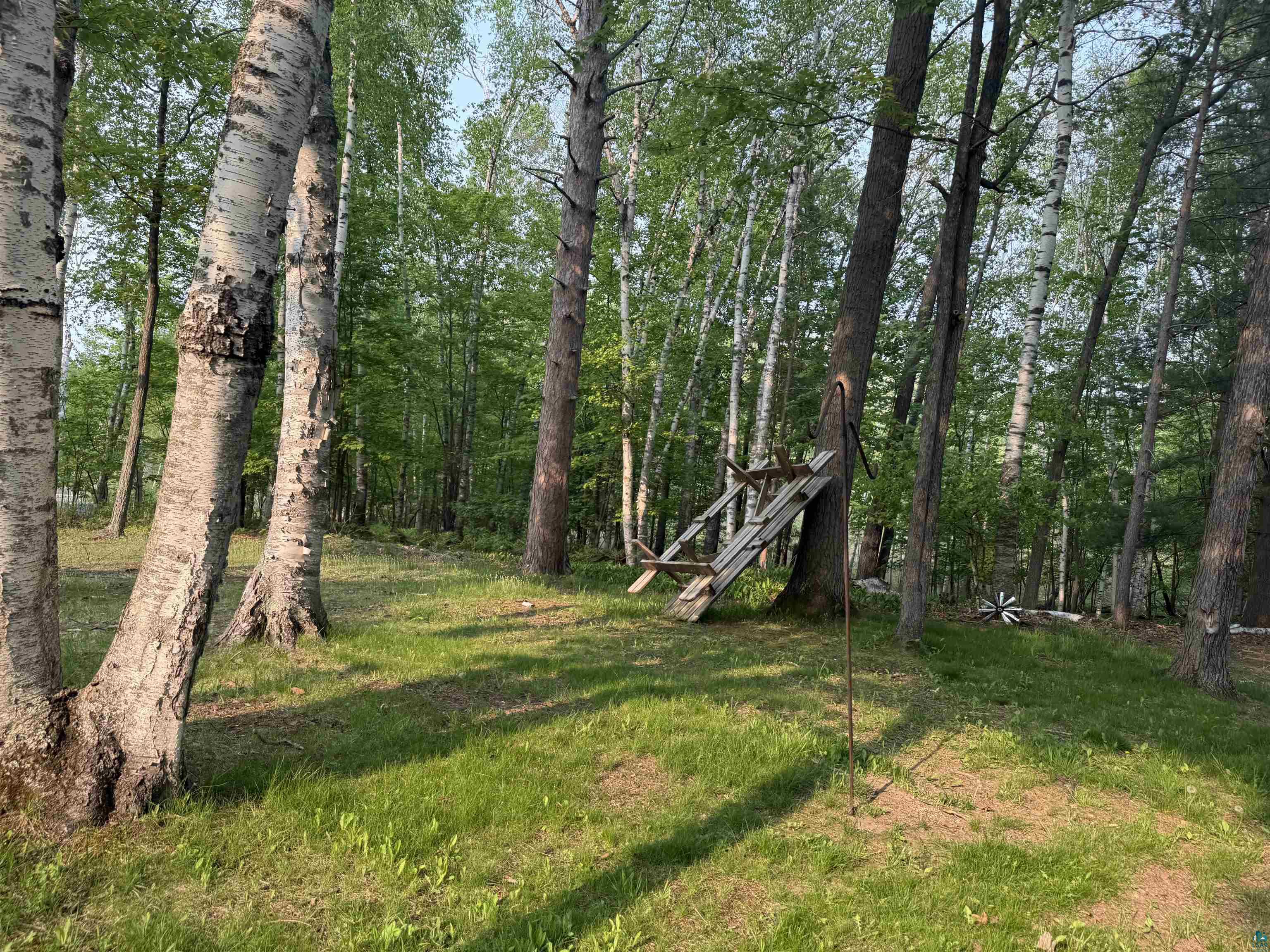 69175 East Long Lake Road Iron River, WI 54847 - Photo 46 of 47 View of yard