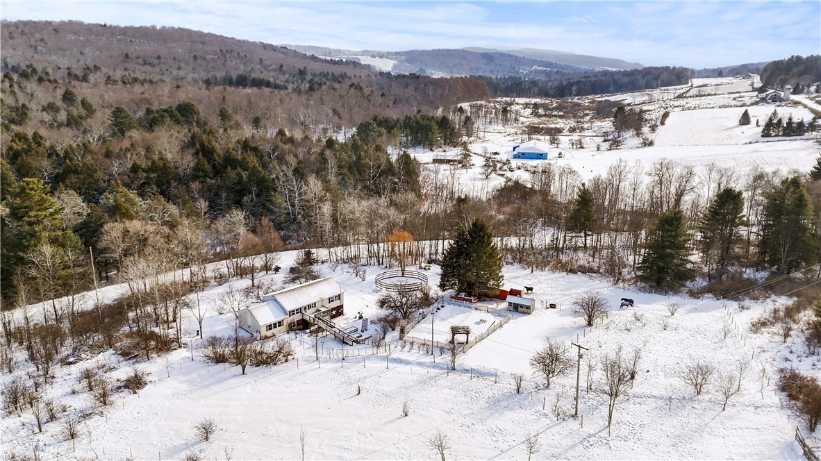 35 Howe Road Berkshire, NY 13736 - Photo 9 of 46