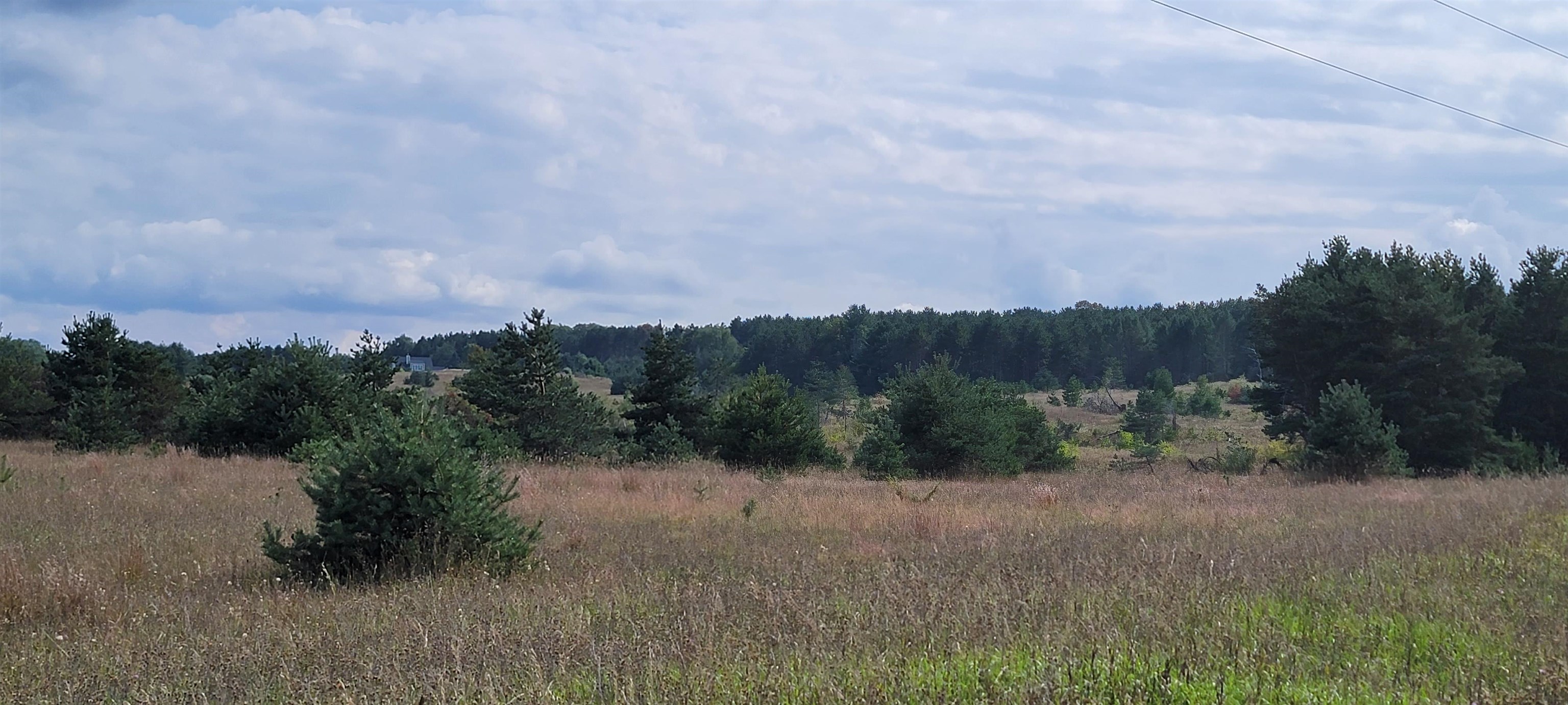 Parcel J Helena Road Alden, MI 49612 - Photo 5 of 11
