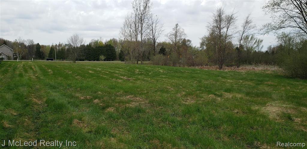 Parcel F Parcel F Birch Run Millington, MI 48746 - Photo 16 of 20