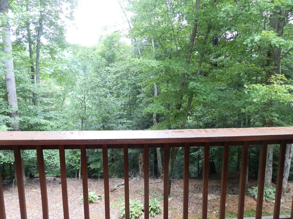 203 Gosser Ridge Road Russell Springs, KY 42642 - Photo 13 of 19 13