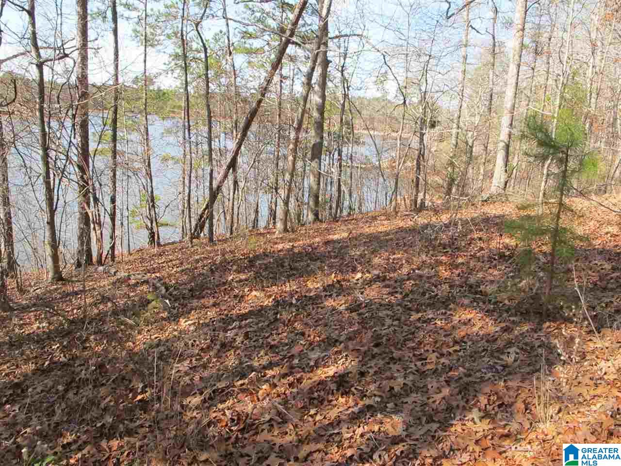 0 County Road 256 Wedowee, AL 36278 - Photo 3 of 8