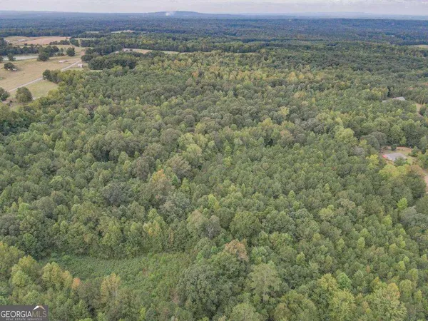 a view of a field with a mountain in the background