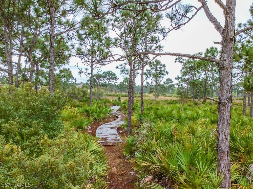 6017 Calusa Rdg Trail Bokeelia, FL 33922 - Photo 12 of 24 a view of a garden with a tree