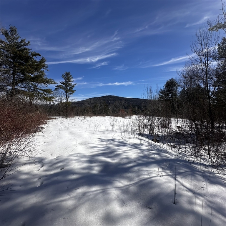 20 Quarry Hill Road Lee, MA 01238 - Photo 5 of 6 a view of a yard