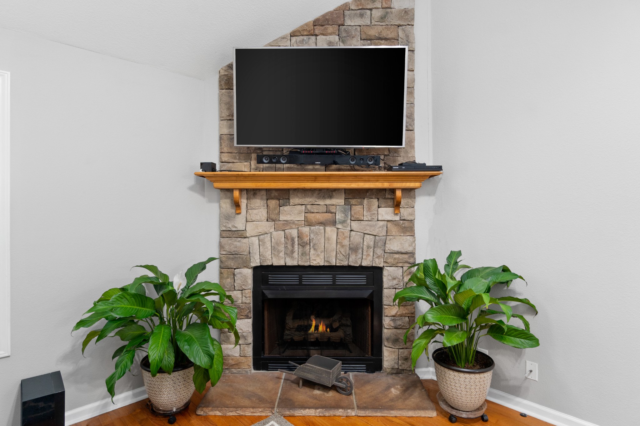 Gallery Image 7