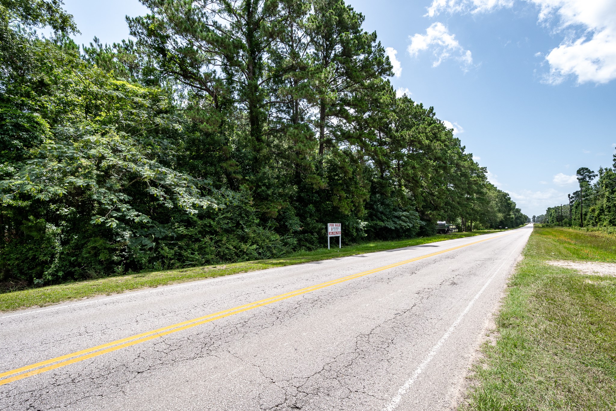 0 Fostoria Road Cleveland, TX 77328 - Photo 6 of 7 a view of a garden