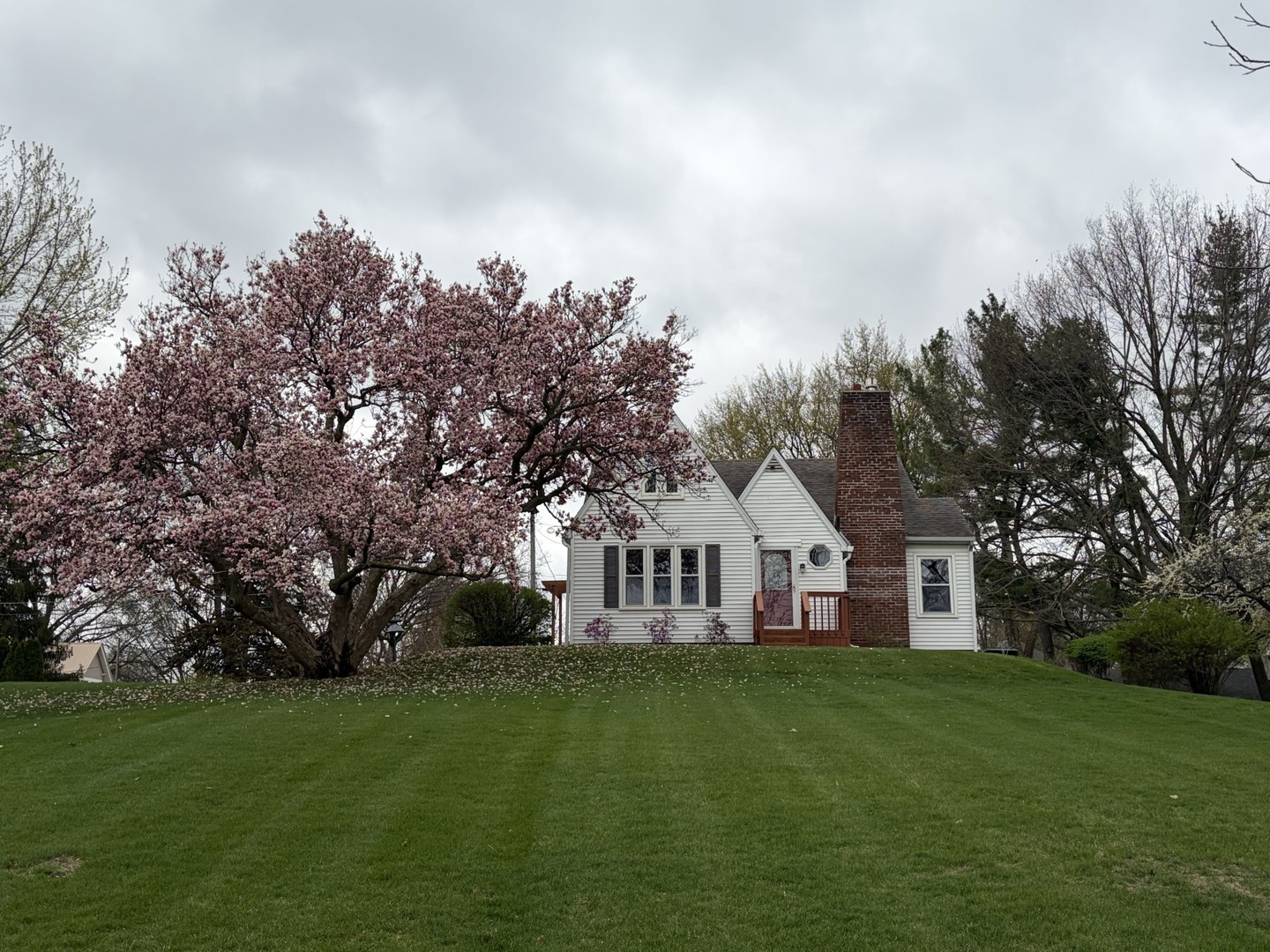 313 West 2nd Street Prophetstown, IL 61277 - Photo 22 of 22 a view of house with a big yard