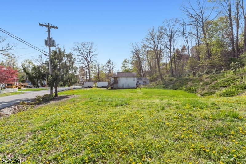 19 Dunham Road West Milford, NJ 07421 - Photo 5 of 14 a view of a yard with plants