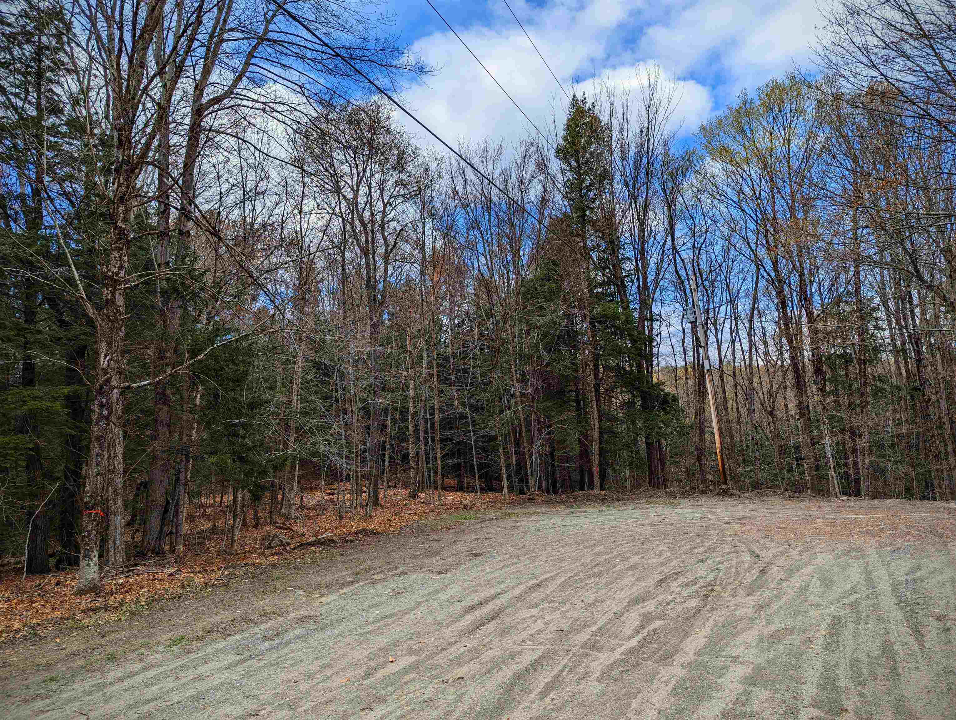 0 South Ryder Pond Road Jacksonville, VT 05342 - Photo 3 of 10