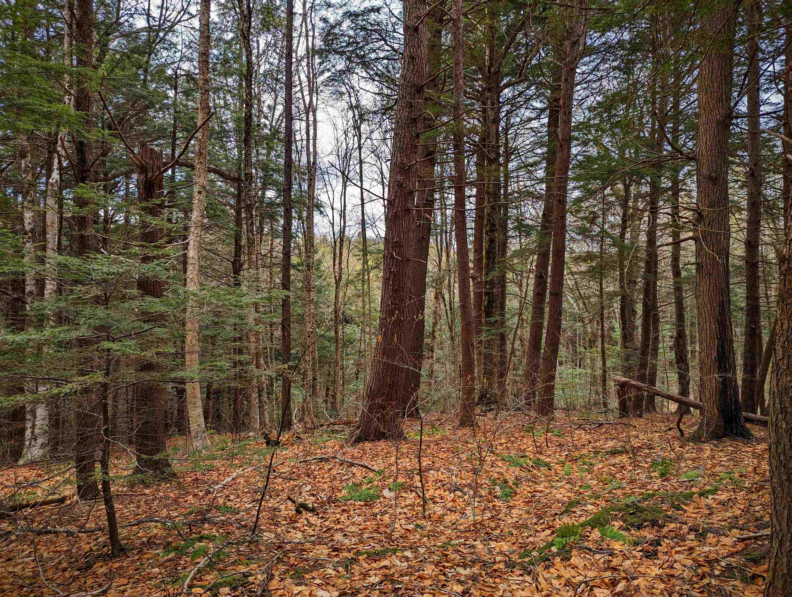 0 South Ryder Pond Road Jacksonville, VT 05342 - Photo 7 of 10
