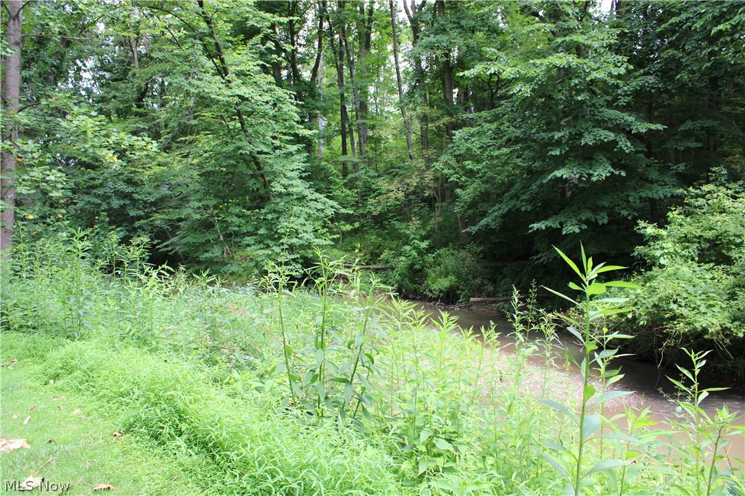 5547 River Styx Road Medina, OH 44256 - Photo 44 of 45 Natural wooded landscape featuring mature trees and the Rocky River