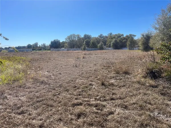a view of a field with trees in the background