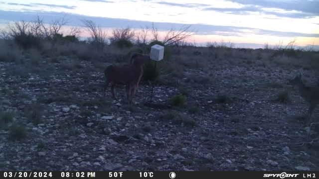Tbd Deer Run Road Ozona, TX 76943 - Photo 17 of 17 Photo 17