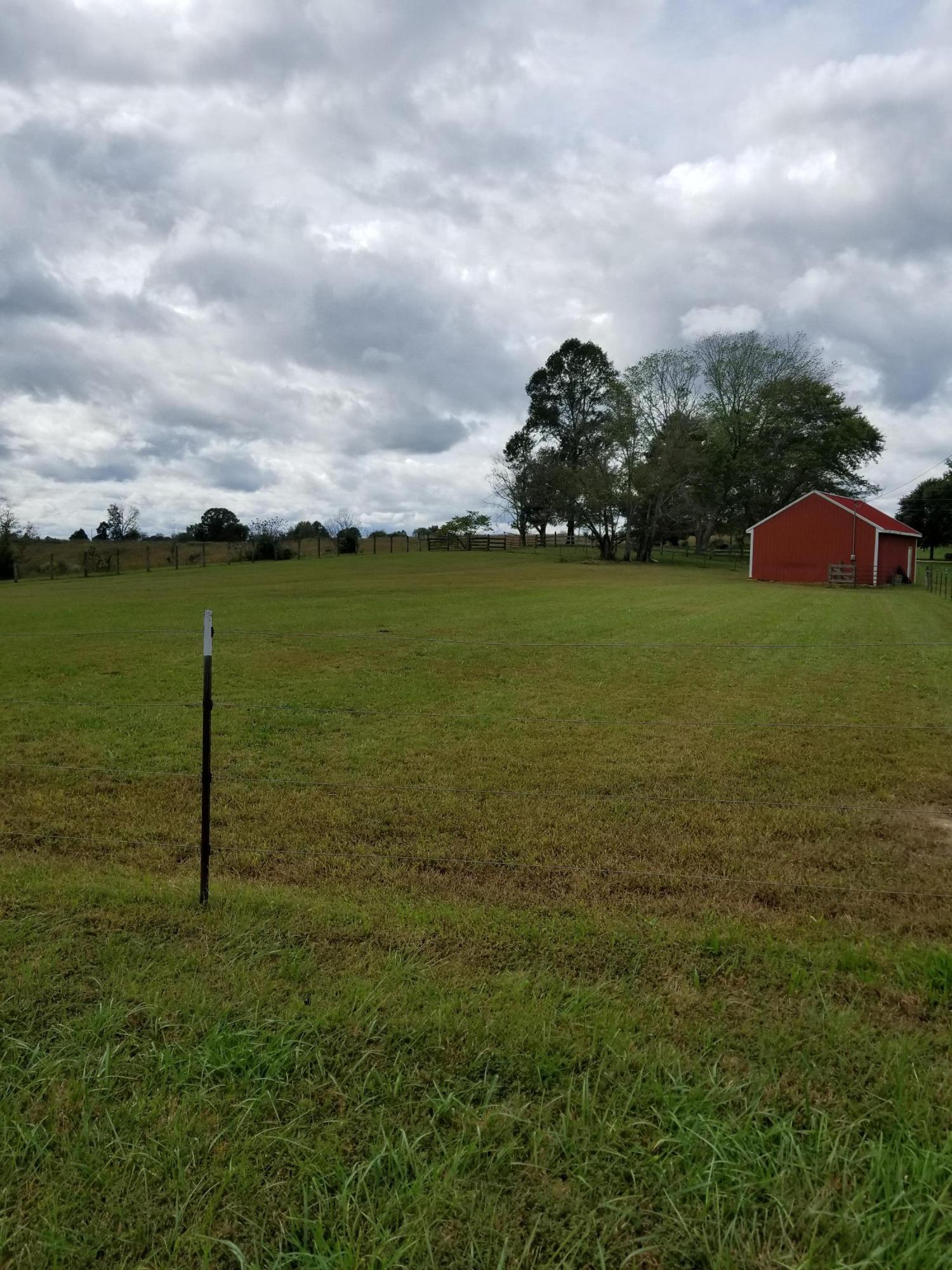 1354 Hall Ridge Road Science Hill, KY 42553 - Photo 3 of 15 Hall Ridge 3