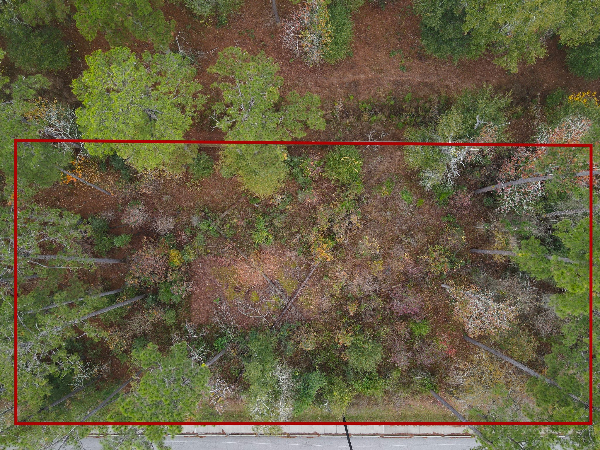 0 Foster Drive Conroe, TX 77301 - Photo 14 of 17