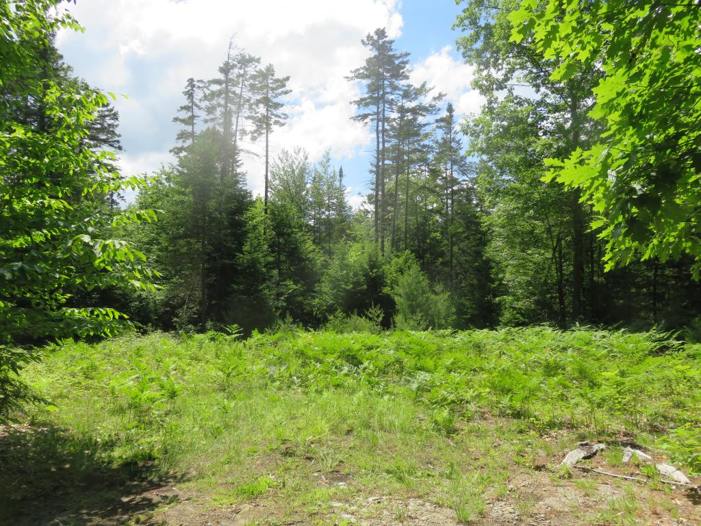 4 Potato Road Canaan, NH 03741 - Photo 1 of 6