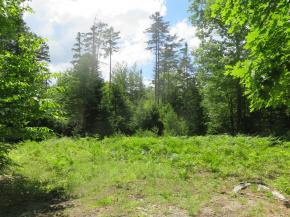 4 Potato Road Canaan, NH 03741 - Photo 4 of 6