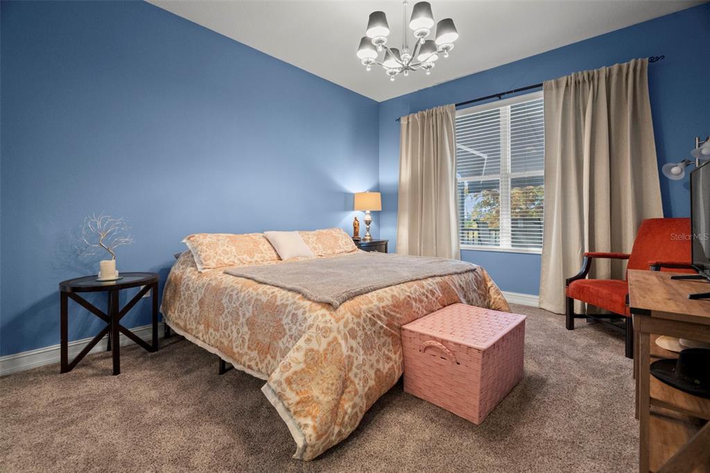 1342 Ribolla Drive Palm Harbor, FL 34683 - Photo 12 of 37 a bedroom with a bed and a chandelier