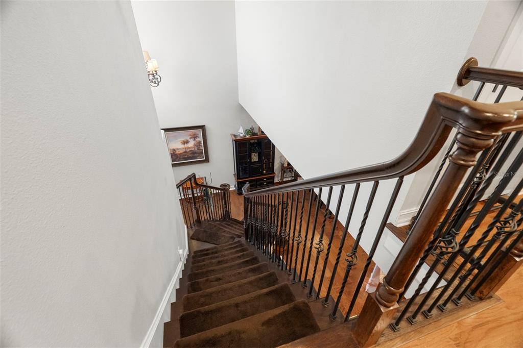 1342 Ribolla Drive Palm Harbor, FL 34683 - Photo 16 of 37 a view of entryway