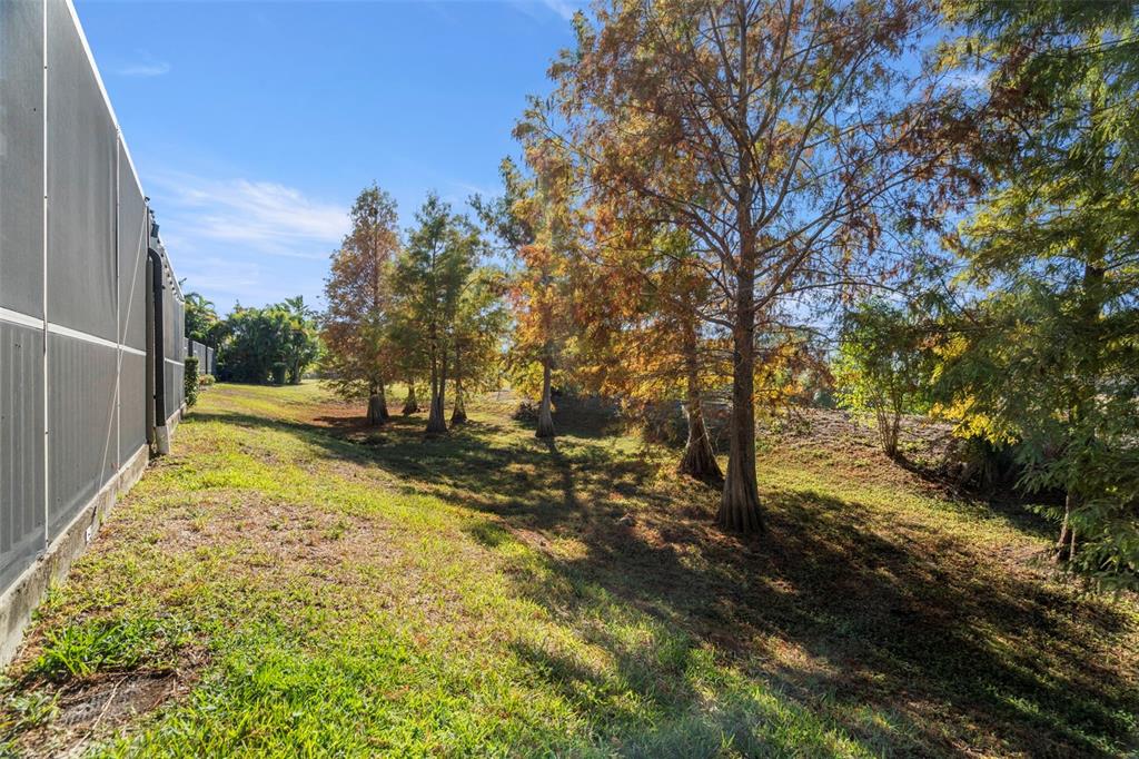 1342 Ribolla Drive Palm Harbor, FL 34683 - Photo 32 of 37 a view of yard with trees