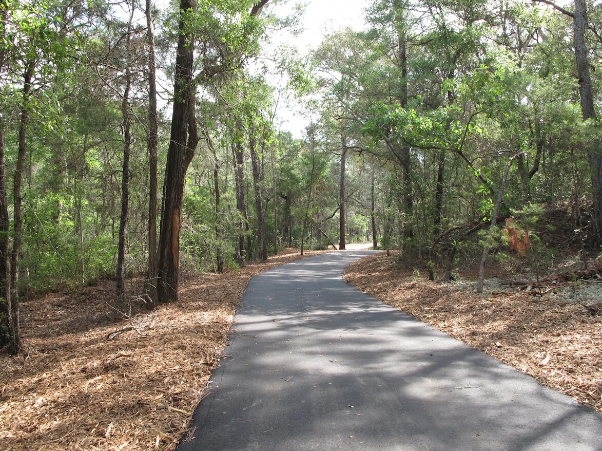 412 Marsh Deer Run Niceville, FL 32578 - Photo 13 of 13 a view of a forest with trees in the background