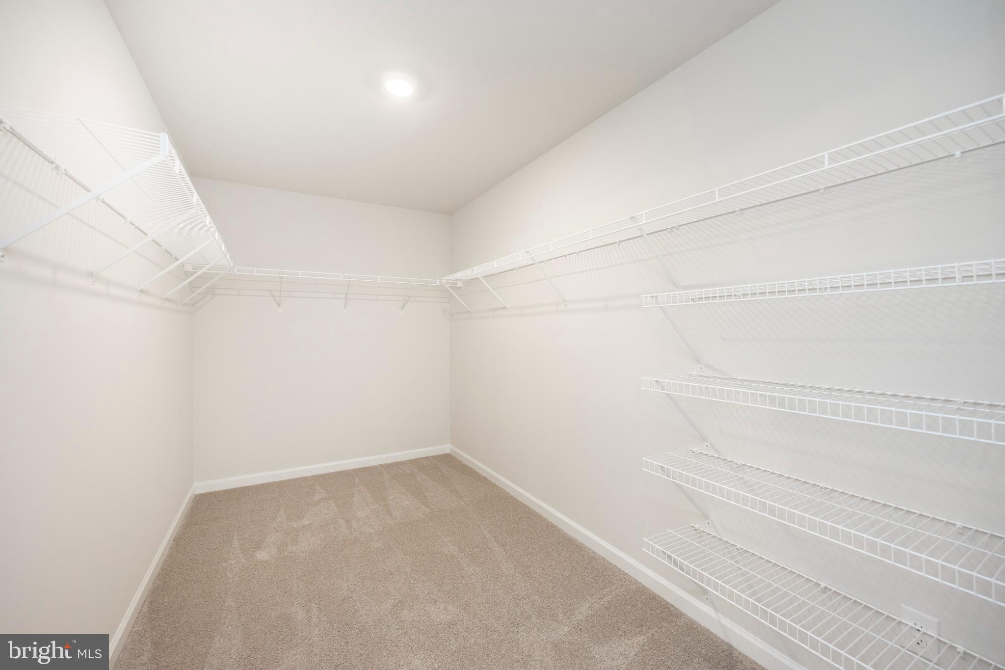 144 Teaberry Court Sinking Spring, PA 19608 - Photo 14 of 30 Expansive owner's suite closet