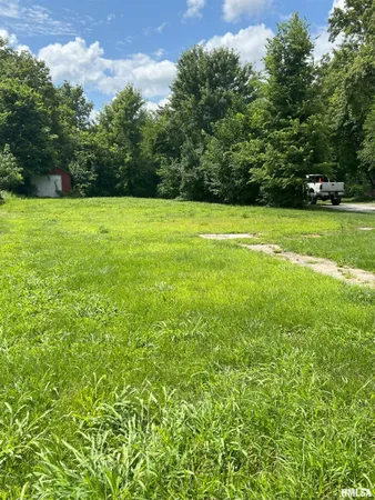 $6,500 | 715 North Diamond Street, Jacksonville, IL 62650
