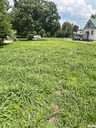 $6,500 | 715 North Diamond Street, Jacksonville, IL 62650