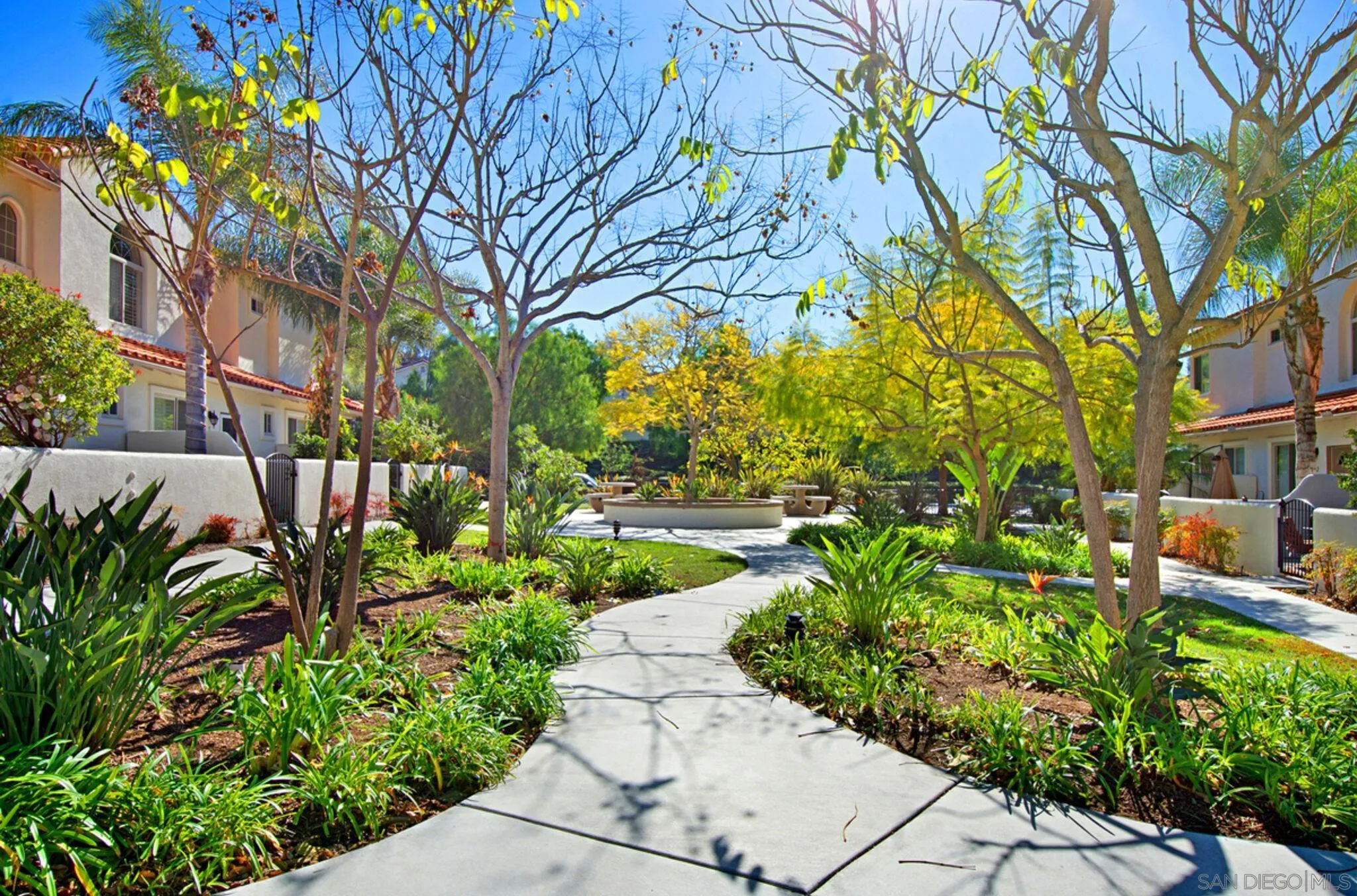 4054 Craven Road, Unit 49 Oceanside, CA 92057 - Photo 32 of 37 a view of a garden with plants